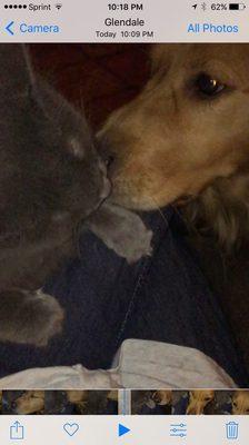 photo of Michelle D.