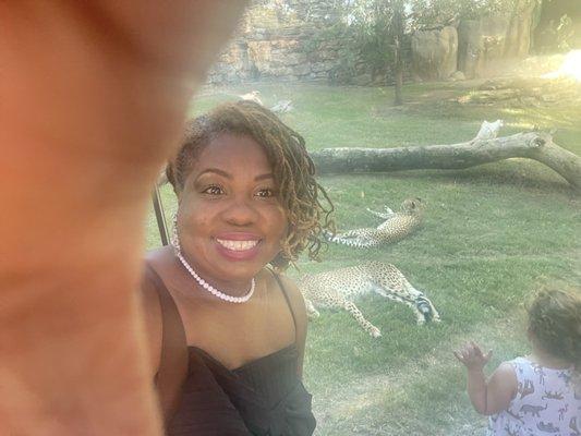 Photo of Lauquitta H.