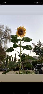 photo of Gwendolyn O.