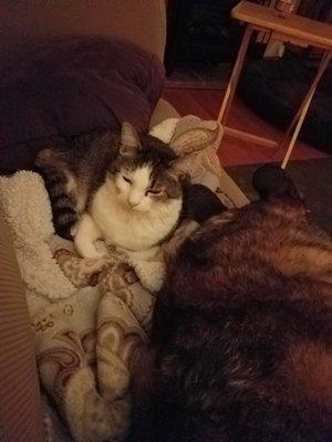 photo of Maryann G.