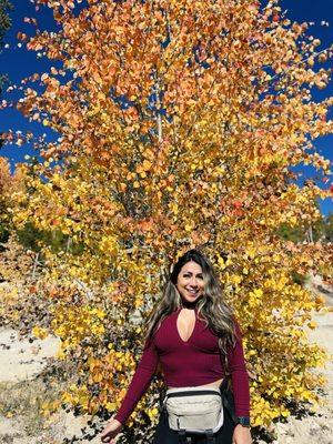 Photo of Cindy M.