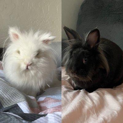 photo of Bhreigha P.