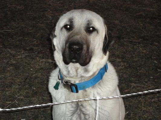 Photo of Big O.