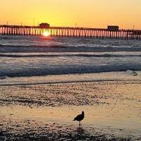 photo of Debbi Ramsey O.