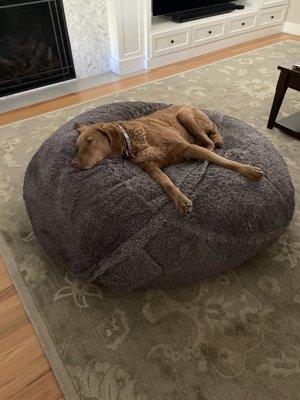 photo of Kathleen V.