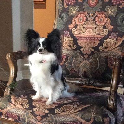 Photo of Danette M.