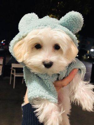 photo of Jennifer N.