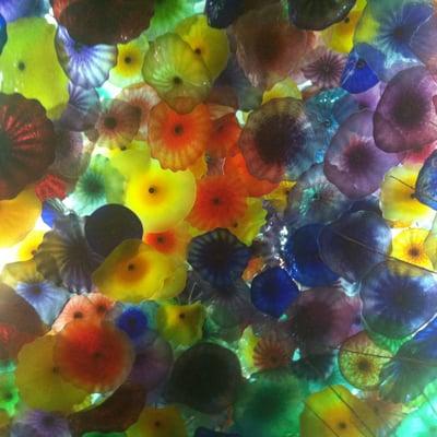 photo of Angelica S.