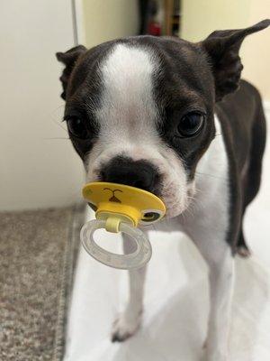 Photo of Baby G.
