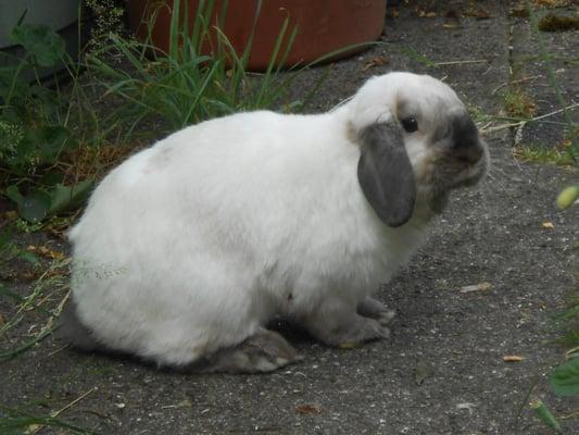 photo of Stella's Mom S.