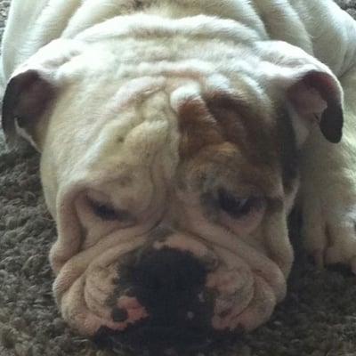 photo of Micahael D.