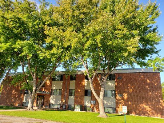 photo of Elmwood And Roosevelt Green A.