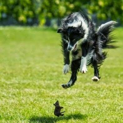 photo of Qthush4u2 ..