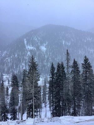 photo of Annabelle S.