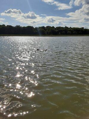 Photo of Christina M.