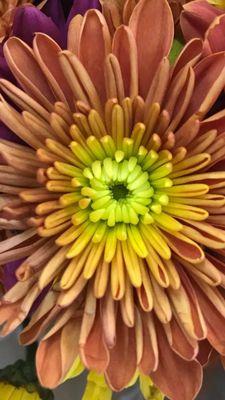 photo of Michelle P.