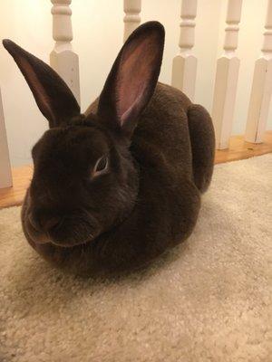 photo of Alexandra M.