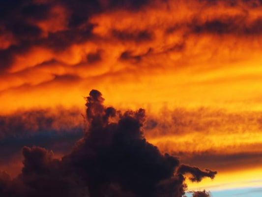 Photo of Bethlynn R.