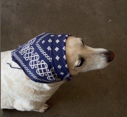 Photo of Cristian C.