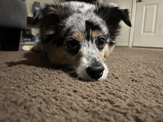 Photo of Mindy S.