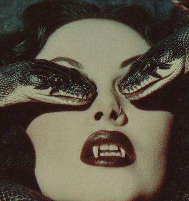 photo of Stephanie S.