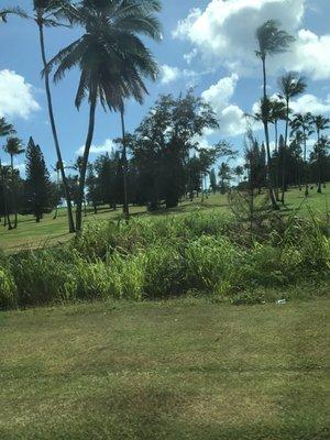 Photo of Kansinee N.