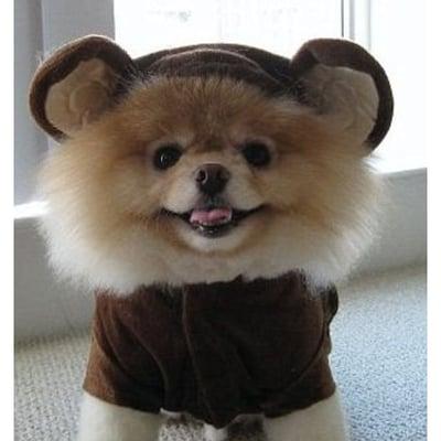 Photo of Cherrise P.