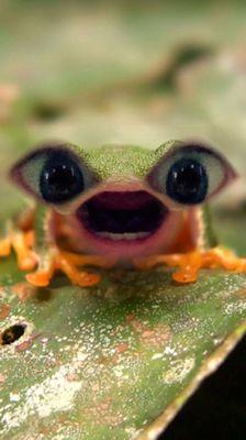 Photo of Caroline T.