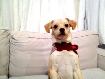 Photo of Jiji P.