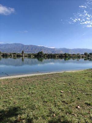 photo of Noodle's Mom