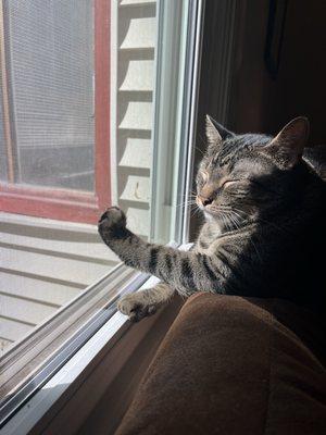 photo of Mackinzee M.