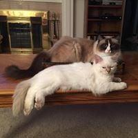 photo of Margaret M.