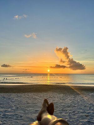 photo of Terrence W.