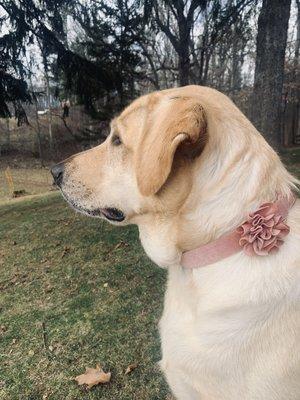 photo of Jennifer B.