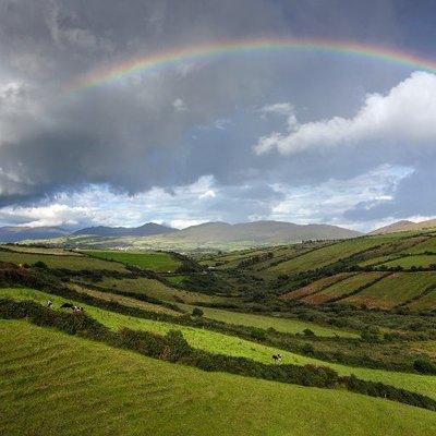 photo of Siothrún O.