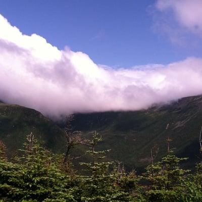 Photo of Elizabeth H.