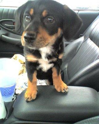 photo of Michelle S.