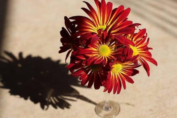 photo of Stephanie W.