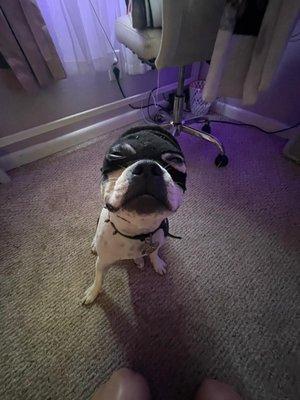 photo of Green__Goat H.