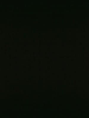 Photo of Yoel A.