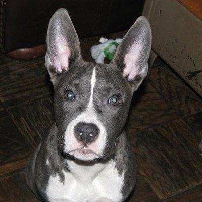 Photo of Sparkle S.