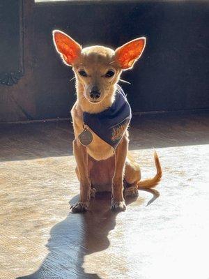 photo of Christina R.