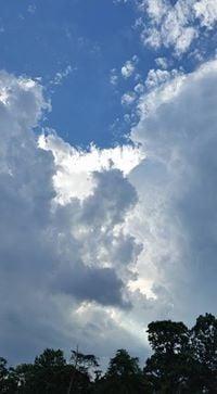 photo of Franklin S.