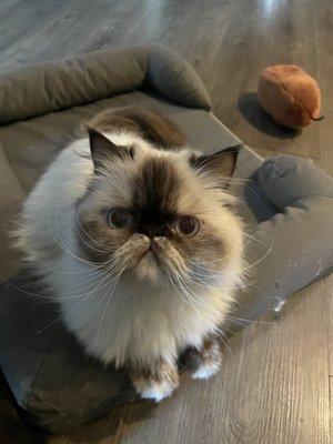 Photo of Darcy H.