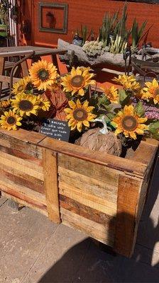 photo of Isabella R.