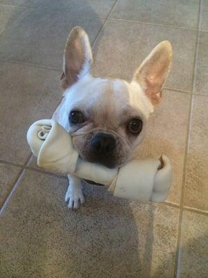 photo of Jennifer S.