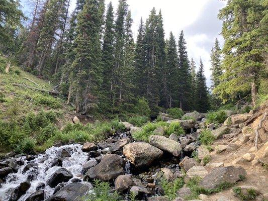 Photo of Veni Vidi V.