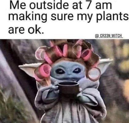 photo of Valentina S.