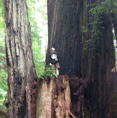 photo of Antigone B.