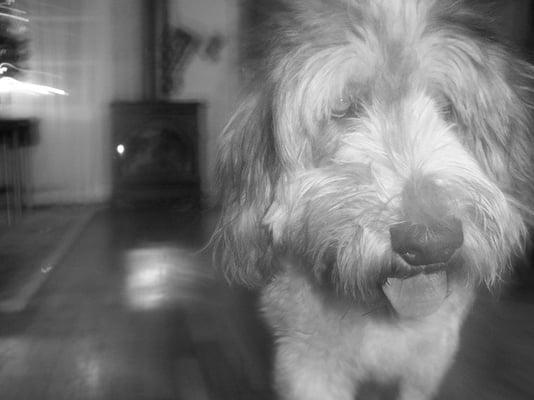 Photo of Riley P.
